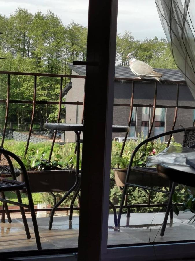 Neringa apartamentai Palanga Bagian luar foto
